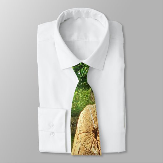 木の幹自然写真湖公園 ネクタイ (タイ)