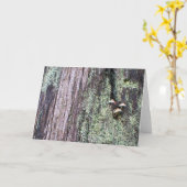 木の幹2 カード (黄色い花)