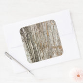 木の幹 スクエアシール (封筒)