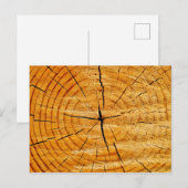 木の幹 ポストカード (正面/裏面)