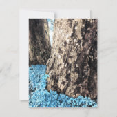 木の幹 招待状 (正面)