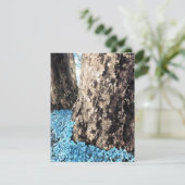 木の幹 招待状 (スタンド正面)