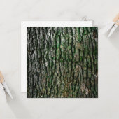 木の幹(木の樹皮) カード (正面/裏面インサイチュ)