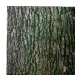 木の幹（木の樹皮） タイル (正面)