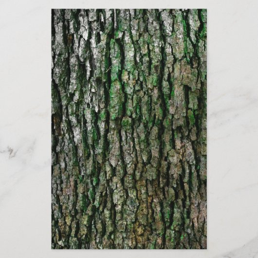 木の幹（木の樹皮） 便箋 (正面)
