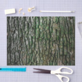 木の幹（木の樹皮） 薄葉紙 (クラフト)