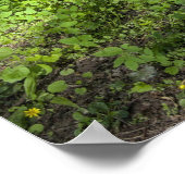 木の影を持つ野生のニンニクのカーペット ポスター (角)