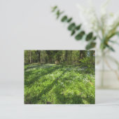 木の影を持つ野生のニンニクのカーペット。 ポストカード (スタンド正面)