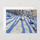 木の影Morzine ポストカード (正面/裏面)