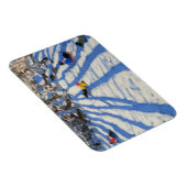 木の影Morzine マグネット (右側)