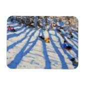 木の影Morzine マグネット (横)