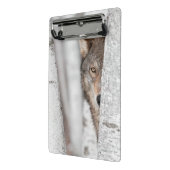 木の後ろのオオカミ(イヌ属ループス) ミニクリップボード (アングル2)