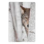 木の後ろのオオカミ(イヌ属ループス) ミニクリップボード (裏面)