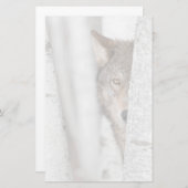 木の後ろのオオカミ(イヌ属ループス) 便箋 (正面/裏面)