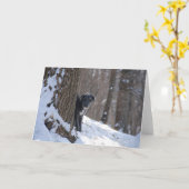 木の後ろのラーチャー-挨拶状 カード (黄色い花)