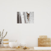 木の後ろの灰色のオオカミ ポスター (キッチン)