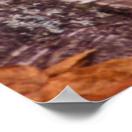 木の後ろの灰色の狼 ポスター (角)