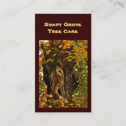 木の心配 名刺 (正面)