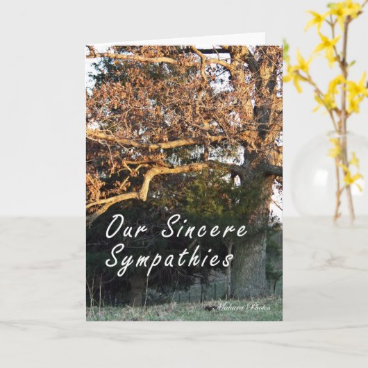 木の悔やみや弔慰カードの日没 カード (黄色い花)