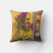 木の戸口 クッション (裏面)