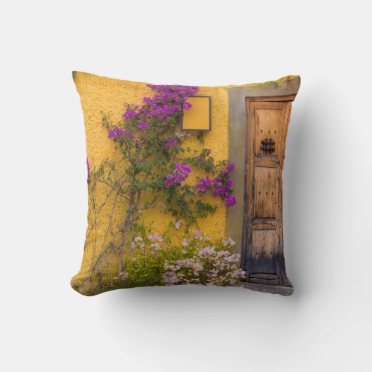 木の戸口 クッション (正面)