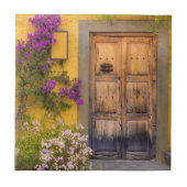 木の戸口 タイル (正面)