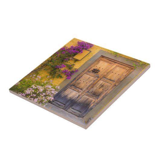 木の戸口 タイル (側面)