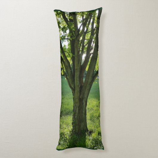 木の抱き枕#1 ボディピロー (裏面 (縦))