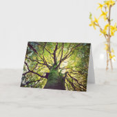 木の抱き締めること カード (黄色い花)