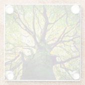 木の抱き締めること ガラスコースター (裏面)