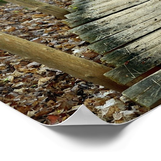 木の曲がりくねった階段，森を抜ける ポスター (角)