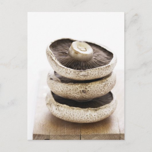 木の板の上に平らなキノコを三つ積み上げる ポストカード (正面)