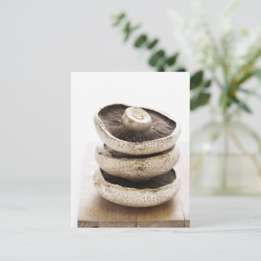 木の板の上に平らなキノコを三つ積み上げる ポストカード (スタンド正面)