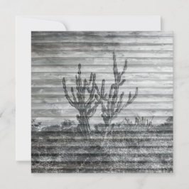 木の板上のサボテンの植物のモノクロ写真 カード
