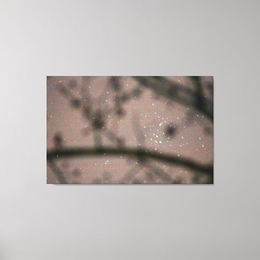 木の枝から見える星空 キャンバスプリント (正面)