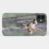 木の枝にいるかわいいキンシコウ Case-Mate iPhoneケース (裏面(横))