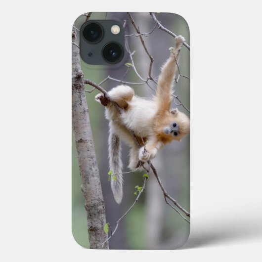 木の枝にいるかわいいキンシコウ Case-Mate iPhoneケース (裏面)