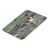 木の枝にかわいい金の鼻のサル マグネット (左側)