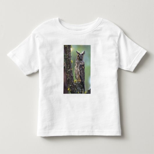 木の枝にとまるミミズク トドラーTシャツ (正面)