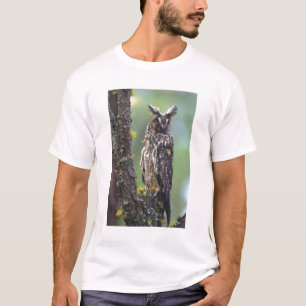 木の枝にとまるミミズク Tシャツ