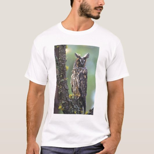 木の枝にとまるミミズク Tシャツ (正面)