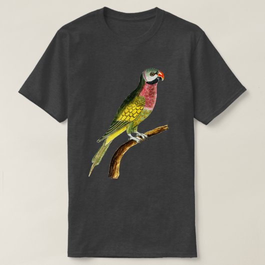 木の枝にカラフルのオウム Tシャツ (デザイン正面)