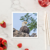 木の枝にハゲのワシ スタンダードカクテルナプキン (インサイチュ)