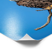 木の枝にハゲのワシ フォトプリント            (角)