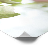 木の枝にリンゴ。 ポスター (角)