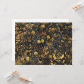 木の枝にリンゴ（Serebriakova著） カード (正面/裏面インサイチュ)