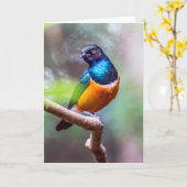 木の枝に座っているスターリングバード カード (黄色い花)