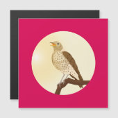 木の枝に歌のツグミが坐っていた (正面/裏面)