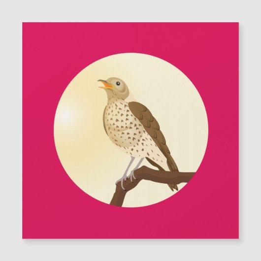 木の枝に歌のツグミが坐っていた (正面)