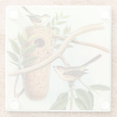 木の枝に止まった巣に乗る鳥のカップル ガラスコースター (裏面)